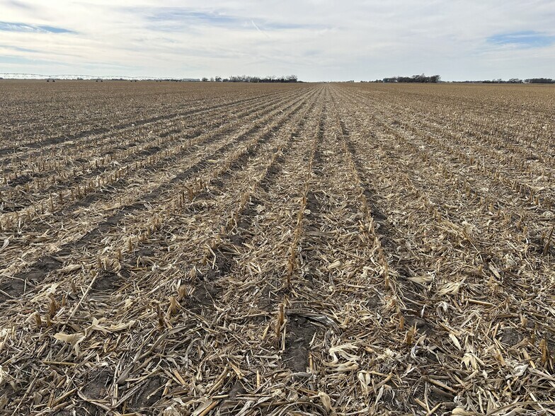 More Photos Of Lonetree Road, Central City Land For Sale