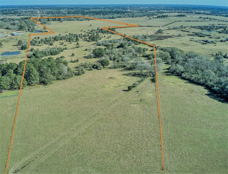 More Photos Of 26266 Fields Store Rd., Waller Land For Sale