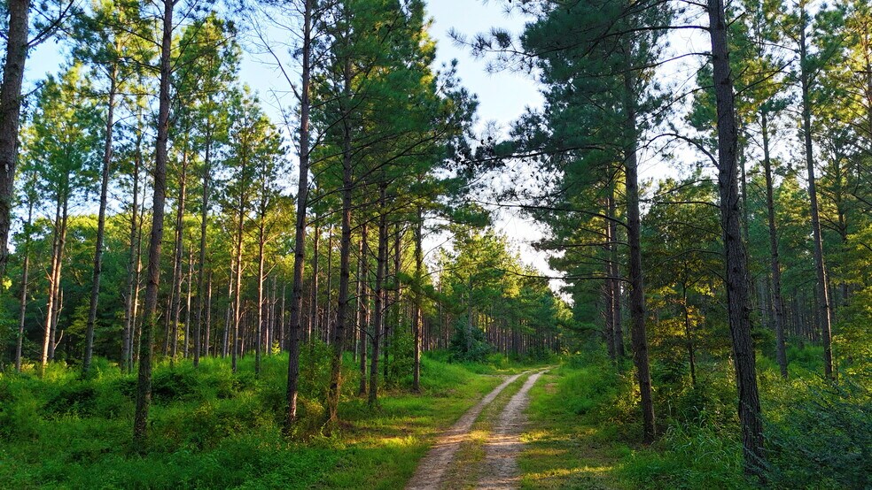 More Photos Of 2784 Furman L Fendley Hwy, Jonesville Land For Sale