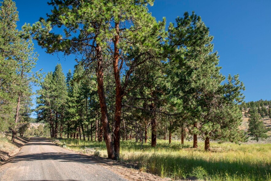 More Photos Of 32611 Tackman Rd, Prineville Land For Sale