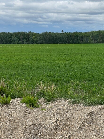 More Photos Of 714002 Range Road 85, Wembley Land For Sale
