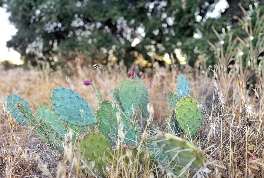 More Photos Of 30415 Chihuahua Valley Rd, Warner Springs Land For Sale