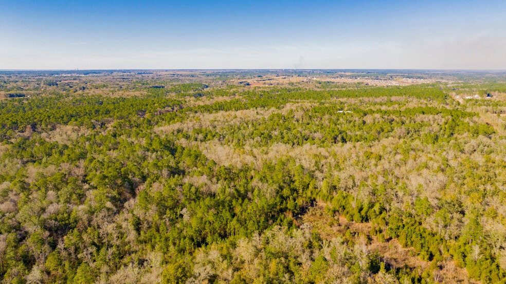 More Photos Of 12960 County Road 48, Silverhill Land For Sale