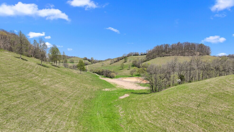 More Photos Of 0 McLaughlin Rd, Shelbyville Land For Sale