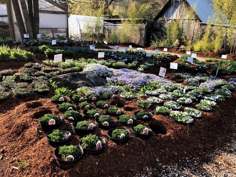 More Photos Of 2798 Highway 23 N, Eureka Springs Garden Center For Sale