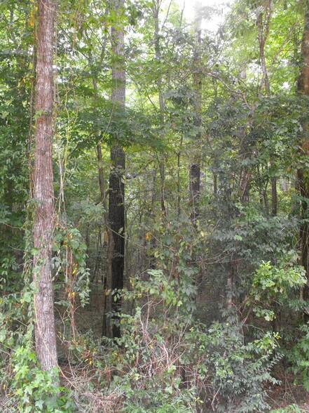 More Photos Of NOBLIN BRIDGE RD, Pelahatchie Land For Sale