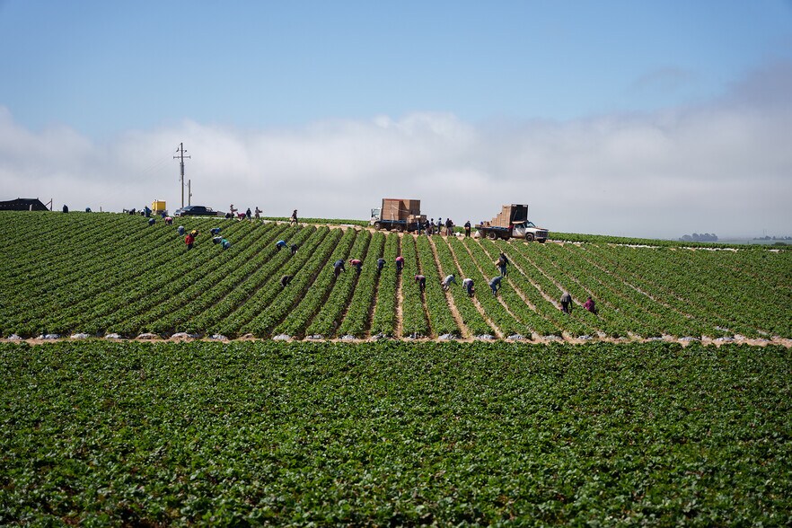 More Photos Of Blackie Rd, Prunedale Land For Sale