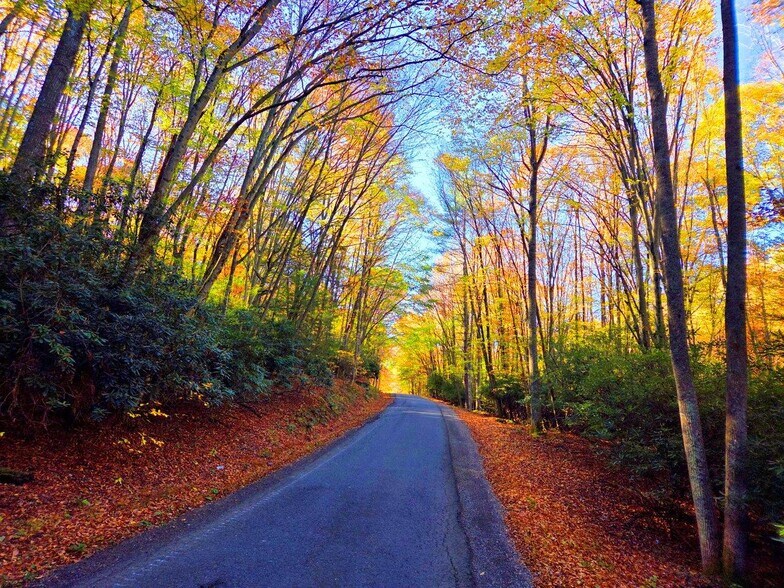 Primary Photo Of 0 Old Pluto Rd, Shady Spring Land For Sale