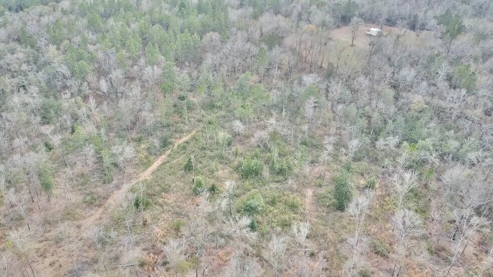 More Photos Of 52000 Block US-31 Hwy, Perdido Land For Sale