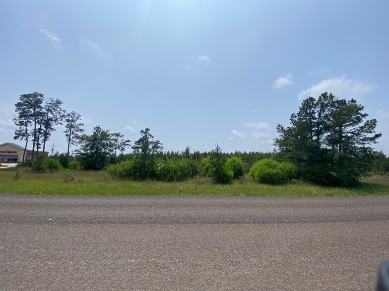 More Photos Of 461 hwy 69 n, Lumberton Land For Sale