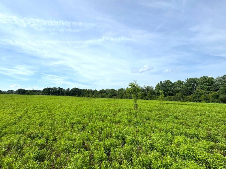 More Photos Of Lester Seals Rd, Lumberton Land For Sale