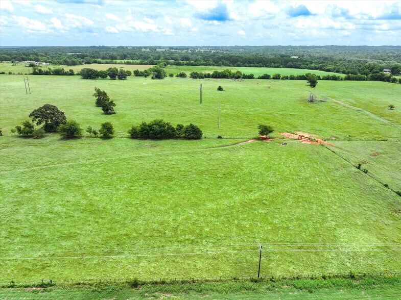 More Photos Of Tract 8 County Road 3415, Jacksonville Land For Sale