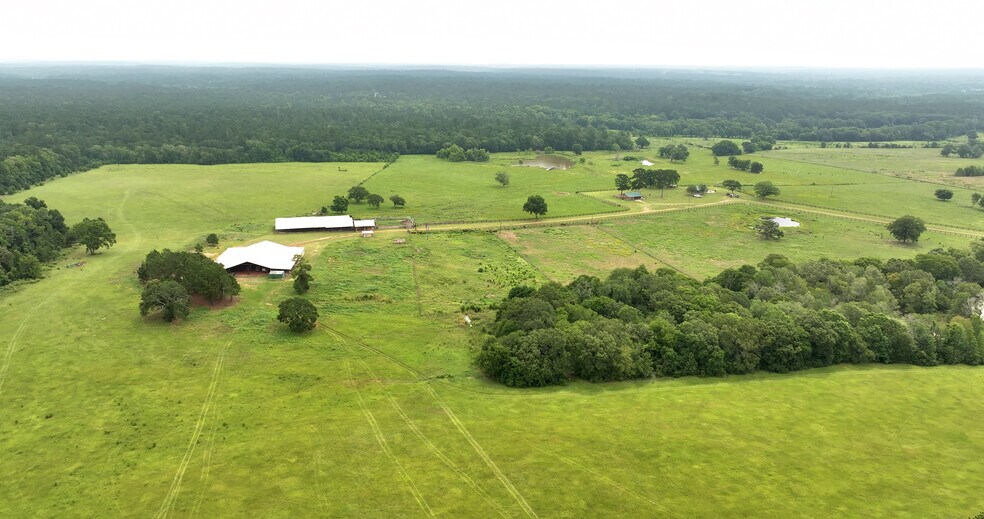 More Photos Of 44 Bucking Bull Rd, New Waverly Land For Sale