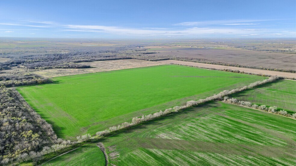 More Photos Of TBD Wall St Rd, Gunter Land For Sale