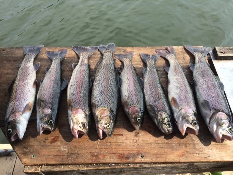 More Photos Of 103 Beach Blvd, Rockaway Beach Hotel For Sale