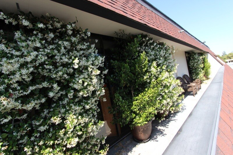 More Photos Of 2483 Old Middlefield Way, Mountain View Office For Lease