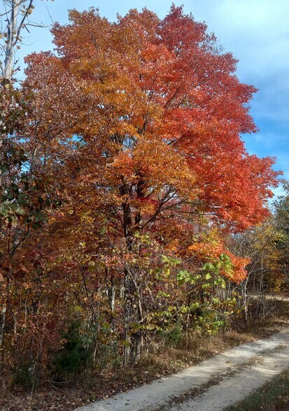 More Photos Of 1737A High Rock Rd, Stanton Land For Sale