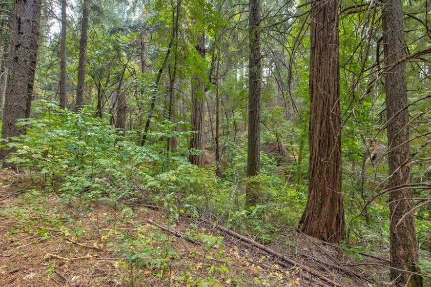 More Photos Of Mountain Dew Lane, Somerset Land For Sale