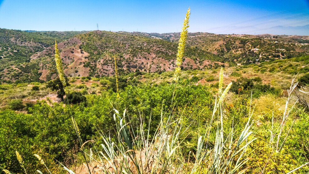 More Photos Of 7099 E. Carbon Canyon Rd, Brea Land For Sale