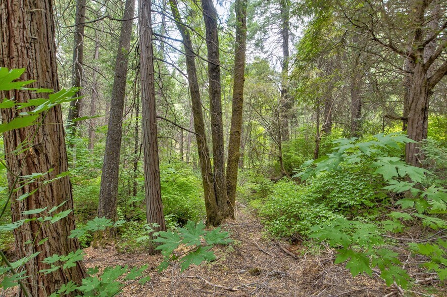 More Photos Of Mountain Dew Lane, Somerset Land For Sale