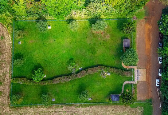 More Photos Of 5545 Kahiliholo Rd, Kilauea Land For Sale