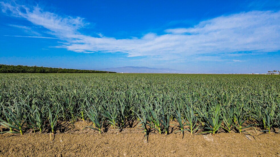 More Photos Of Oakland @ Lassen Avenue, Five Points Land For Sale