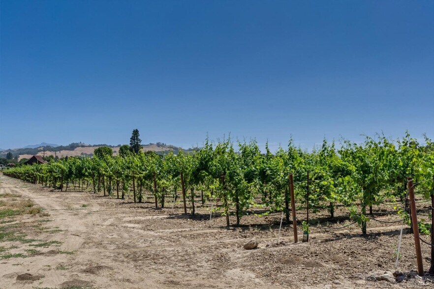 More Photos Of 1580 Magnolia Dr, Healdsburg Land For Sale