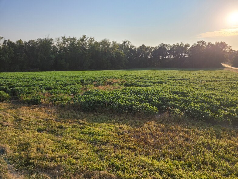 More Photos Of Highway DD (85.69+/- Acres - Tract E), Bellflower Land For Sale