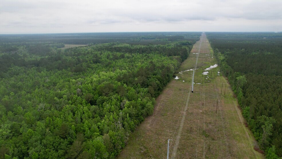 More Photos Of , Reevesville Land For Sale