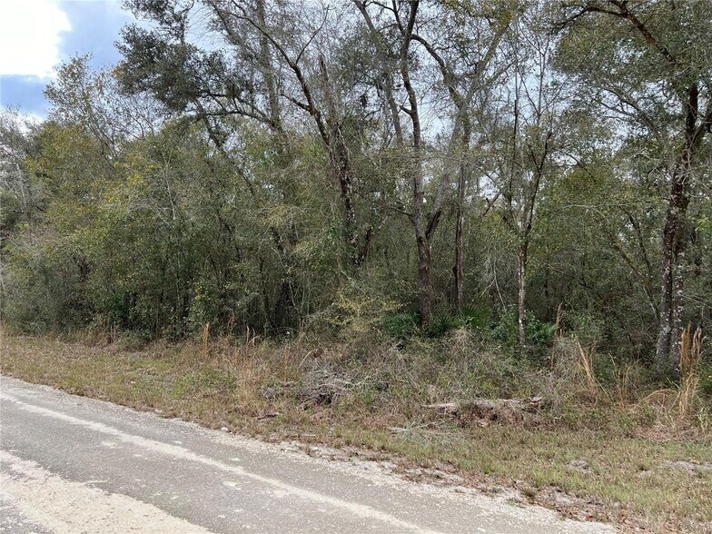 Plymouth Rock Drive, ster, FL 33597 Land For Sale