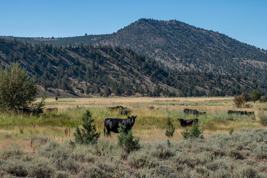 More Photos Of 32611 Tackman Rd, Prineville Land For Sale