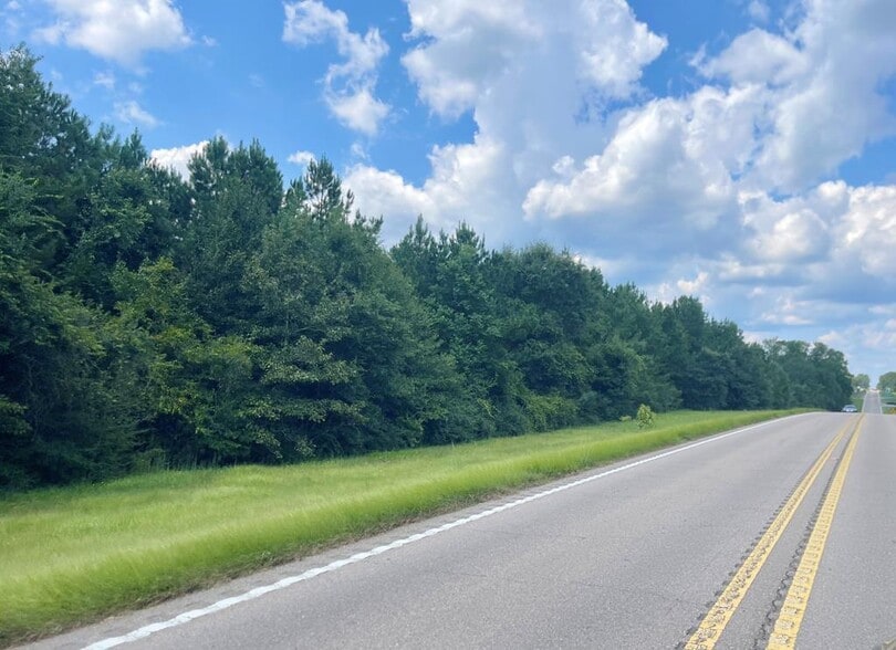 More Photos Of 0 Highway 53, Poplarville Land For Sale