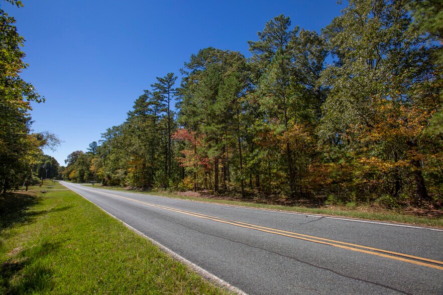 More Photos Of Walter Bright Road & 15-501, Sanford Land For Sale