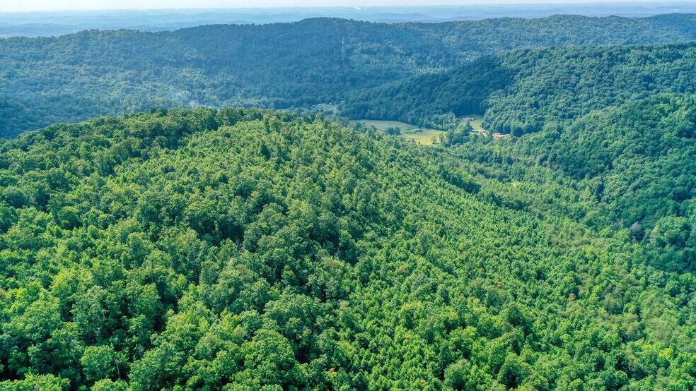 Dutch, Briceville, TN 37710 Land For Sale