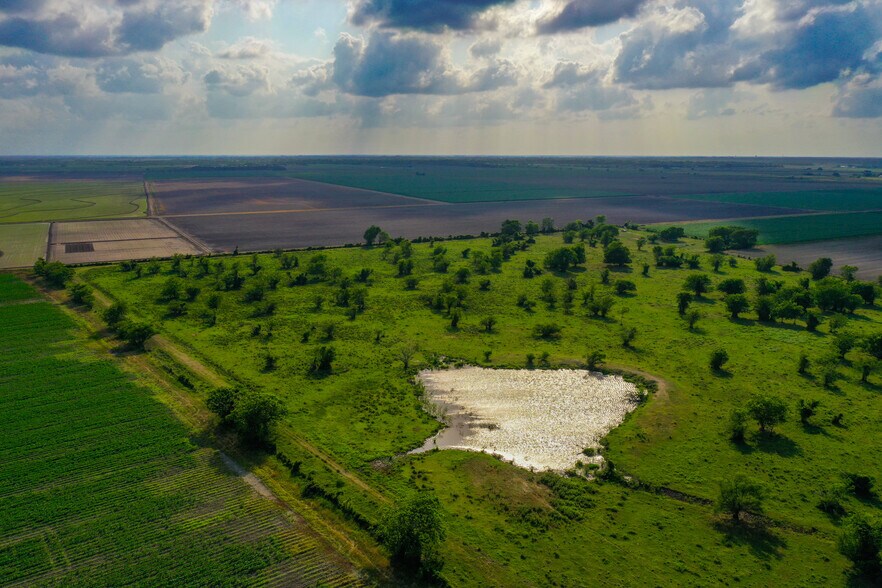 More Photos Of 000 Koym Road, Beasley Land For Sale