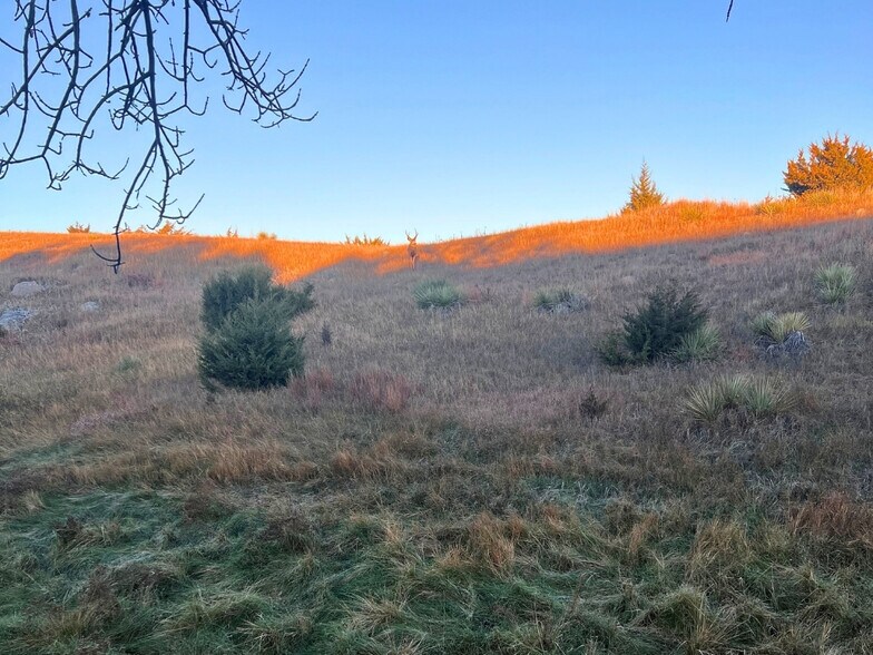 More Photos Of TBD Highway 1804, Pierre Land For Sale