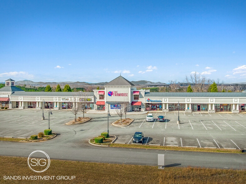 Primary Photo Of 50-60 Firstwatch Dr, Moneta General Retail For Sale