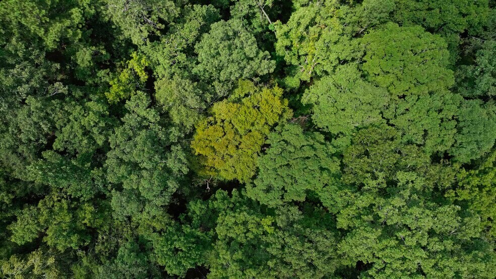 More Photos Of 16 Hawks Branch #123, White Land For Sale