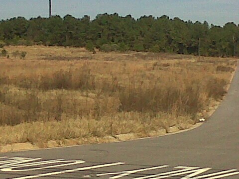 More Photos Of HIGHWAY 231 S, Troy Land For Sale