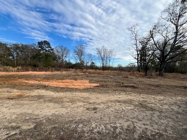 More Photos Of 52000 Block US-31 Hwy, Perdido Land For Sale