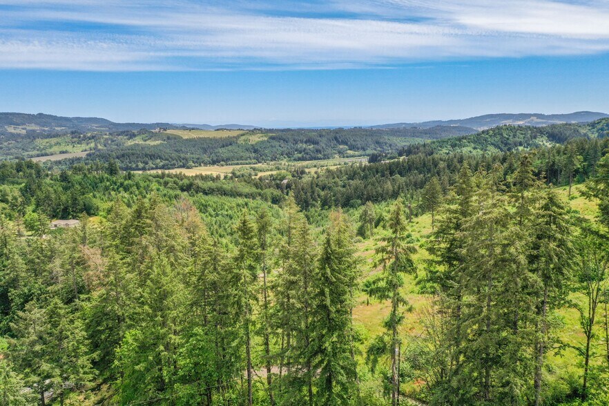 More Photos Of 23175 NE Ridge Rd, Gaston Land For Sale