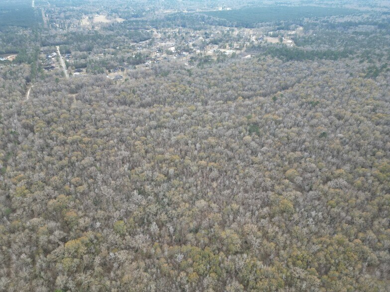 More Photos Of 0 Woodway dr, Sour Lake Land For Sale