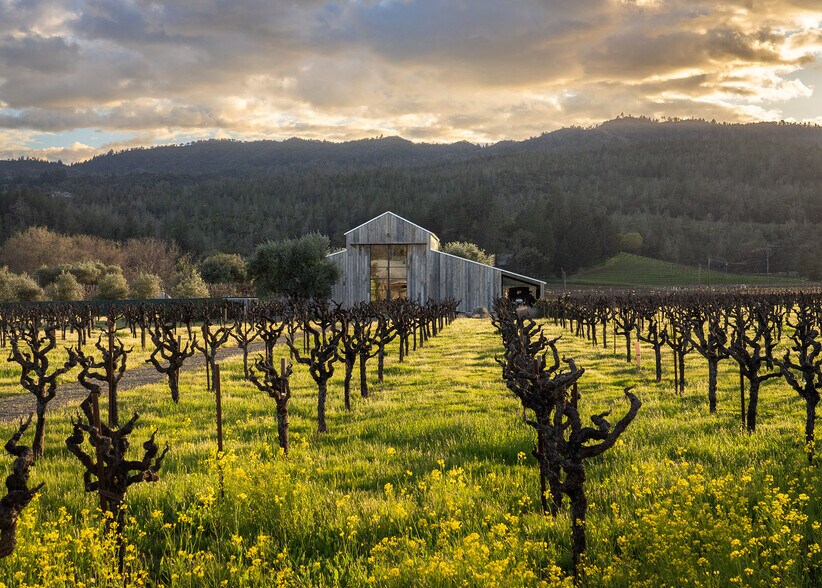 More Photos Of 1540 W Zinfandel Ln, Saint Helena Land For Sale