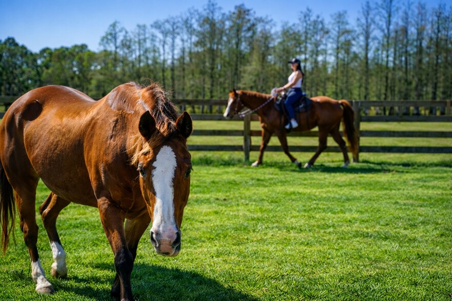 More Photos Of 4350 Bridge rd, Hobe Sound Land For Sale