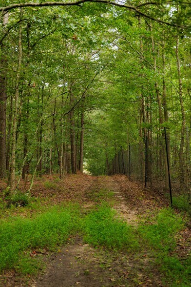 More Photos Of 2199 Roosterville Rd, Roopville Horse Stables For Sale