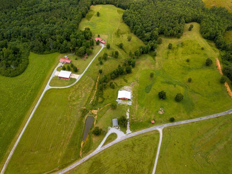 More Photos Of 3262 County Road 6, Hackleburg Land For Sale