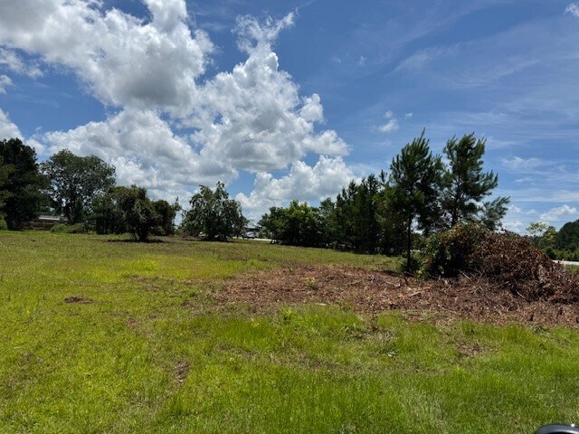 More Photos Of 31060 Cometti Ln, Spanish Fort Land For Sale