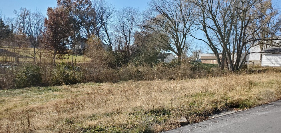 More Photos Of 274 E 2nd St, Moscow Mills Land For Sale