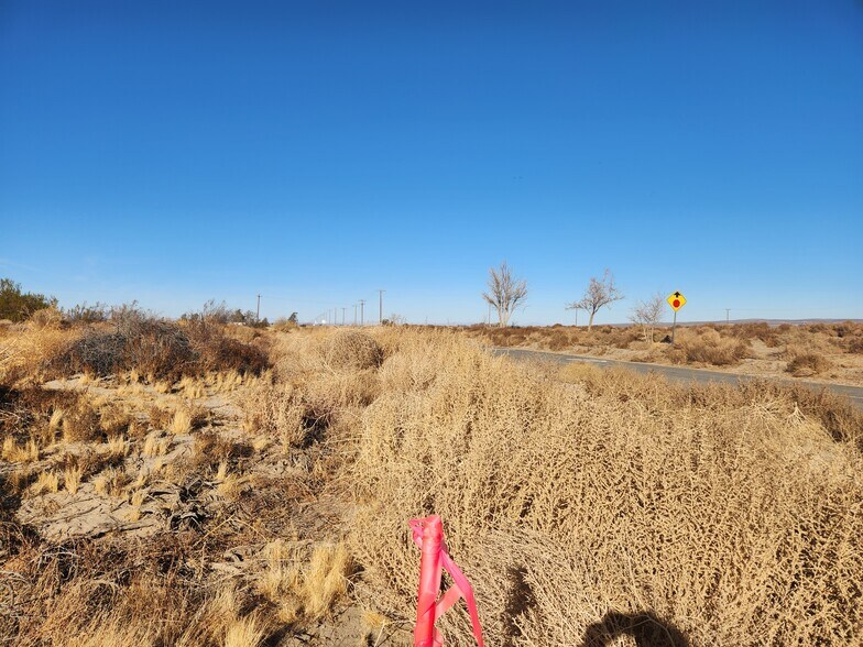 More Photos Of 8 Acres on Ave K ave, Lancaster Land For Sale