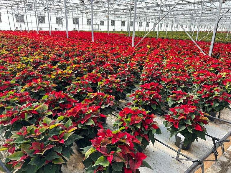 More Photos Of 15000 Picadilly Rd., Brighton Specialty For Sale